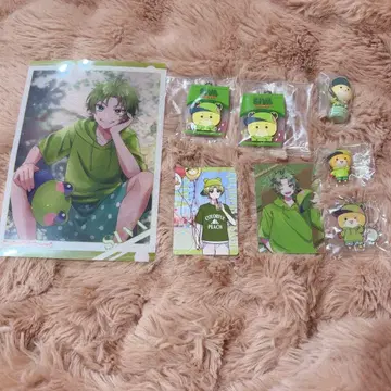 컬러풀 피치 시바 묶음 판매