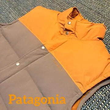 Patagonia 다운 베스트
