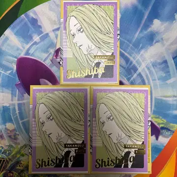 사카모토 데이즈 사카데이 금박 엽서 카가미네 3종 세트