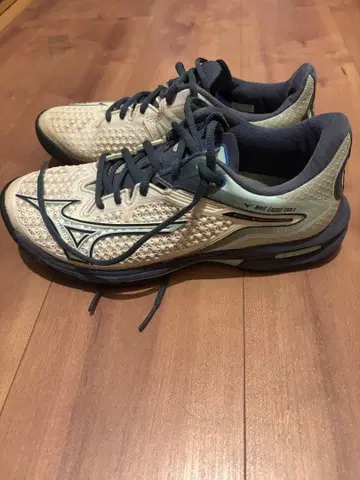 미즈노 웨이브 엑시드 투어 3 테니스화