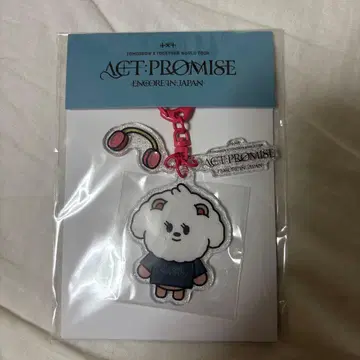 ACT:PROMISE TXT 키링 범규 밤굿