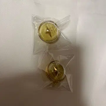 프로세카 사키 링 라이트 5th