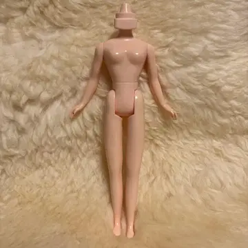 브라이스, 정품 바디 미사용