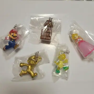 마리오 메지루시 액세서리