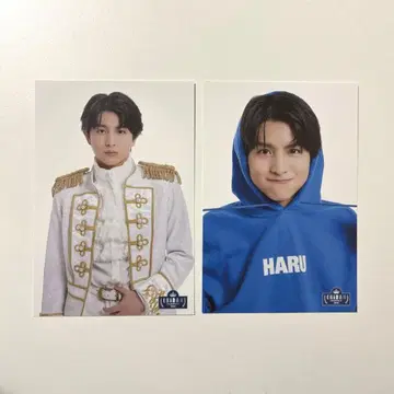 초특급 하루 EBiDANmuseum/뮤지엄 2024 엽서 2장 세트