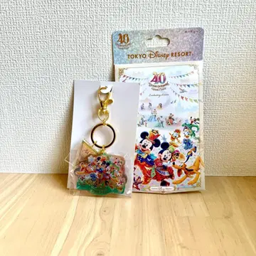 디즈니 40주년 그랜드 피날레 키체인 시크릿