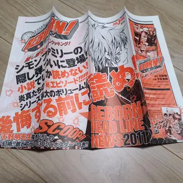 가정교사 히트맨 REBORN! 전단지