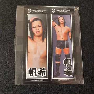 드래곤 게이트 DRAGON GATE 히네리아게