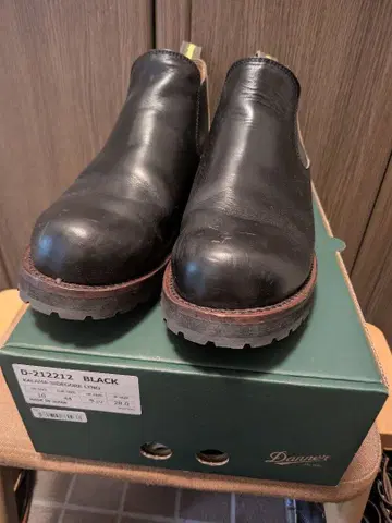 라이트닝 대너 부츠 10