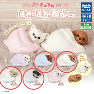 따끈따끈 강아지