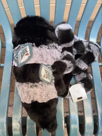 디즈니 스토어 포카혼타스 미코 2세트