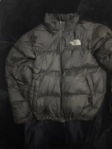 THE NORTH FACE 블랙 다운 자켓
