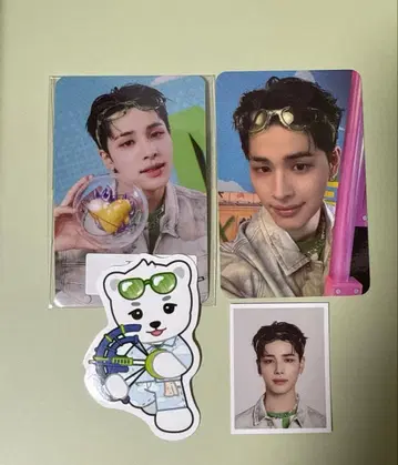 넥스지 시그리 2026 봄