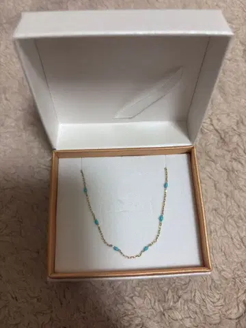 VERITE 골드 목걸이