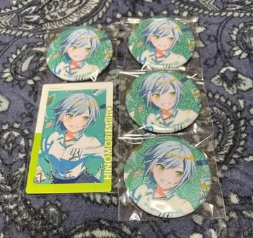 프로세카 글리터 캔뱃지 에피카 히노모리 시호 월드 링크 특훈 후 금박