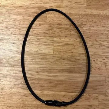 파이텐 라쿠아 넥 리쉬 모델 타입 2