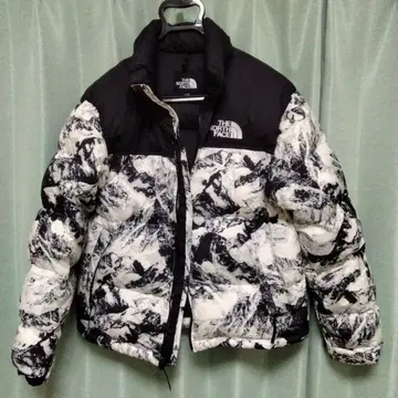 THE NORTH FACE 다운 자켓 L 사이즈