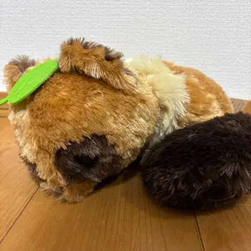 뽀뽕과 너구리 치마키