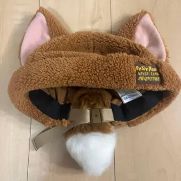 디즈니 피터팬 잃어버린 아이들 팬캡