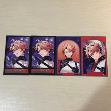 세라프 대즐 정원 폴라로이드