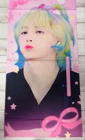 seventeen 세븐틴 세부치 정한 슬로건 마스터