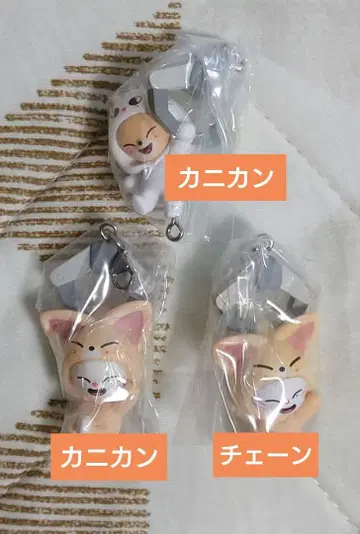 스키즈 SKZOO 쥠으로 이어지는 마스코트 지니레트 2개 폭시니 1개