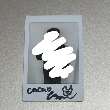 cacao 타카하시 폴라로이드 conte peace 단독 DVD 혜택