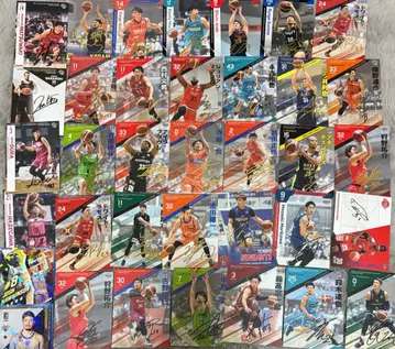 B리그 카드 묶음 판매 인서트 금박 사인 친필 사인