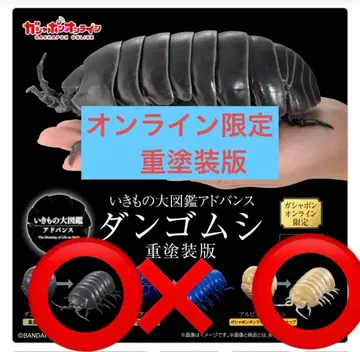 생물대도감 어드밴스 공벌레 중도색판 블랙 알비노 세트