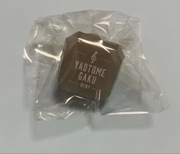 아이나나 링라이트 라쿠