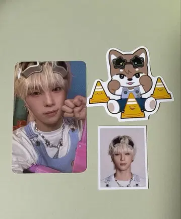 넥스지 시그리 2026 소곤