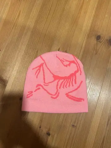 핑크 그래픽 비니