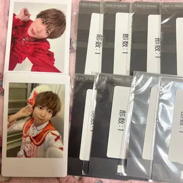 팬더드래곤 팟치 하피카 파라곤 크리스마스