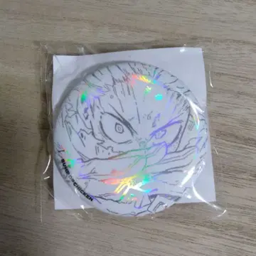 BUMP OF CHICKEN I 나의 히어로 아카데미아 혜택 캔뱃지