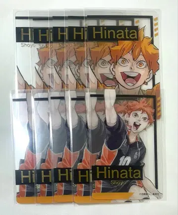하이큐!! 히나타 쇼요