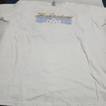 텍사스 주 반다나 패턴 T셔츠 XL