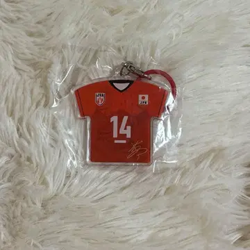 배구 남자 일본 대표 이시카와 유키 메지루시 참