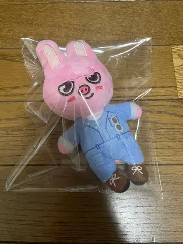 straykids 스키즈 skzoo 백참 돼끼 창빈