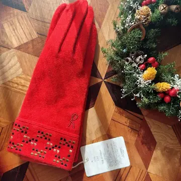 로베르타 디 카메리노 실크울 장갑 레드