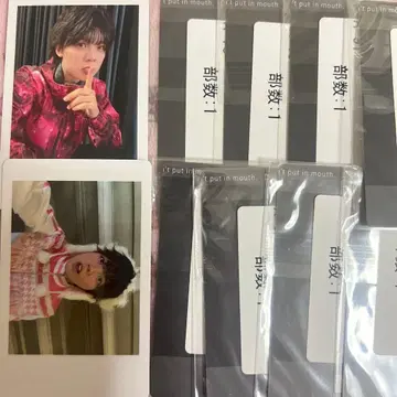 팬더드래곤 나기 하피카 파라곤 크리스마스