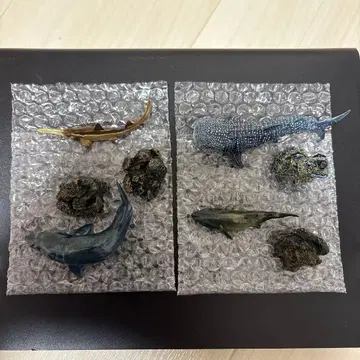 생물대도감 미니 컬렉션 상어 2 백상아리 징베상어 톱상어 시로와