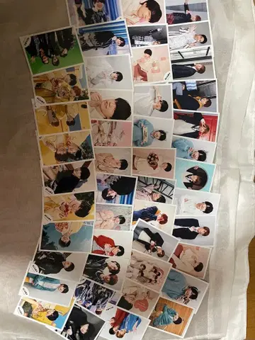 니시하타 다이고 사진 약 90장