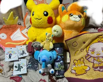 피카피카 박스 2026 코이킹 백 수컷 12개