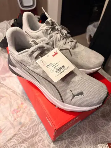 PUMA Mens Disperse Evo C