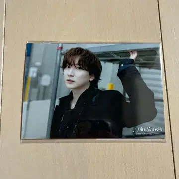 SixTONES 사진 세트 쿄모토 타이가