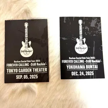 Rockon Social Club 앱 한정판 카드 [ 2장 세트 ]