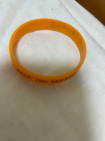 오자키 타쿠미 러버 밴드