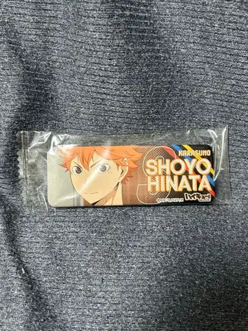 하이큐 히나타 쇼요 롱 캔뱃지