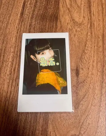 센토치히로 치치 폴라로이드