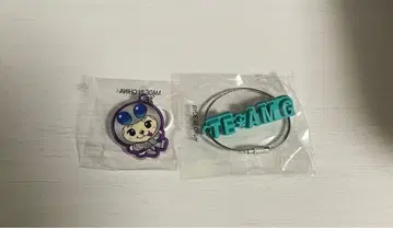 이와타 타카노리 회장 캡슐 러버 키링 메지루시 참